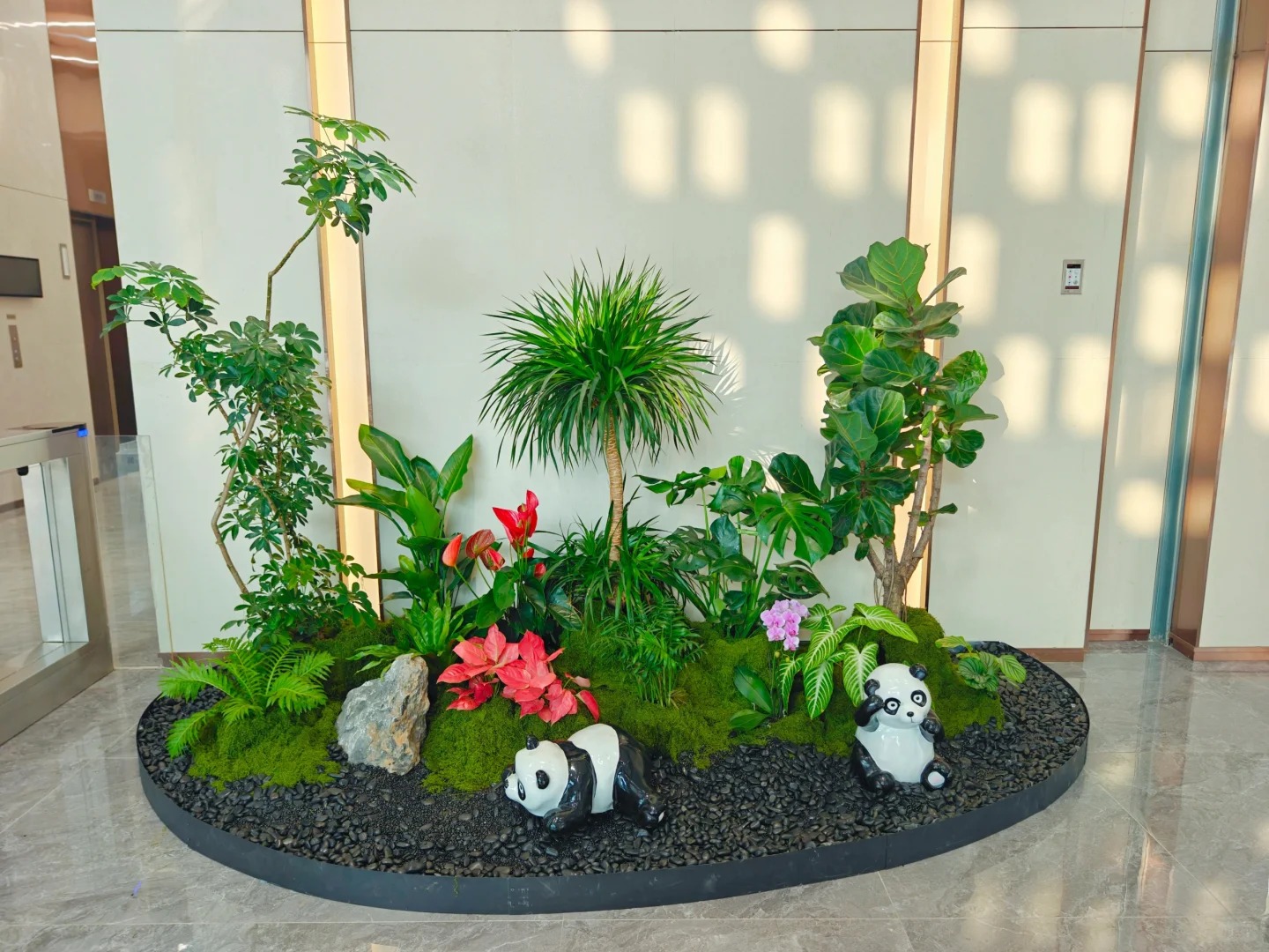 专业镇海植物租赁，为您装点别样环境